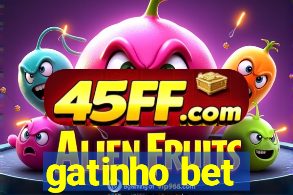 gatinho bet